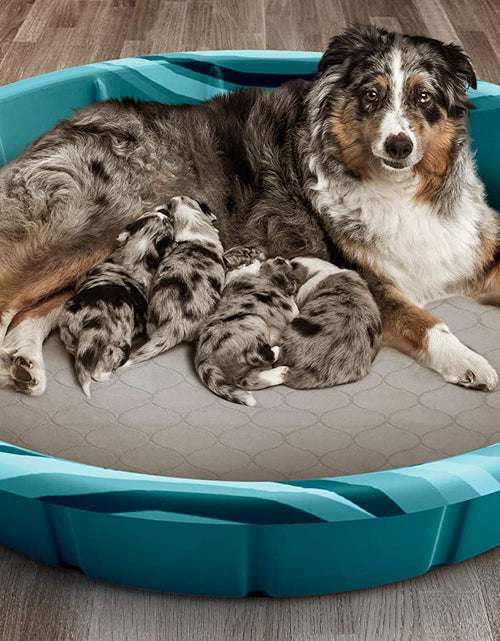 Load image into Gallery viewer, Pawtect Pads Washable Dog Pee Pads (2Pack) of Premium Pee Pads for Dogs, Waterproof Training Pads for Dogs &amp; Reusable Dog Pee Pads! Whelping Pads &amp; Modern Puppy Pads!
