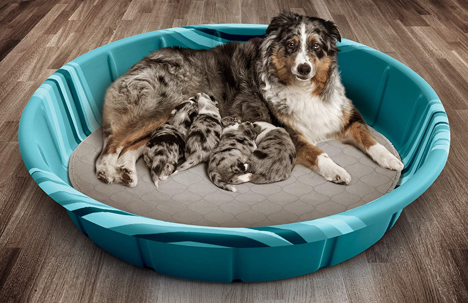 Pawtect Pads Washable Dog Pee Pads (2Pack) of Premium Pee Pads for Dogs, Waterproof Training Pads for Dogs & Reusable Dog Pee Pads! Whelping Pads & Modern Puppy Pads!